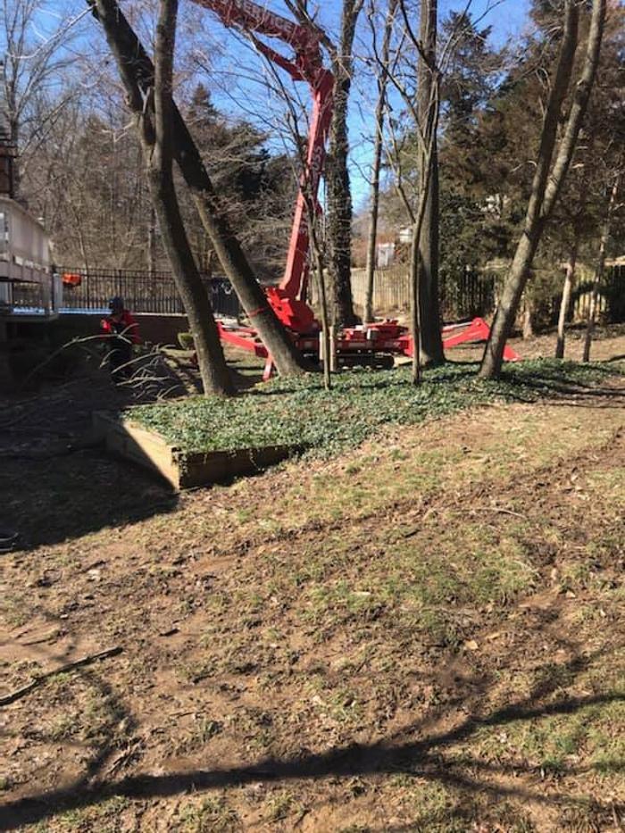 Liscombe Tree Service - Saint Charles, MO
