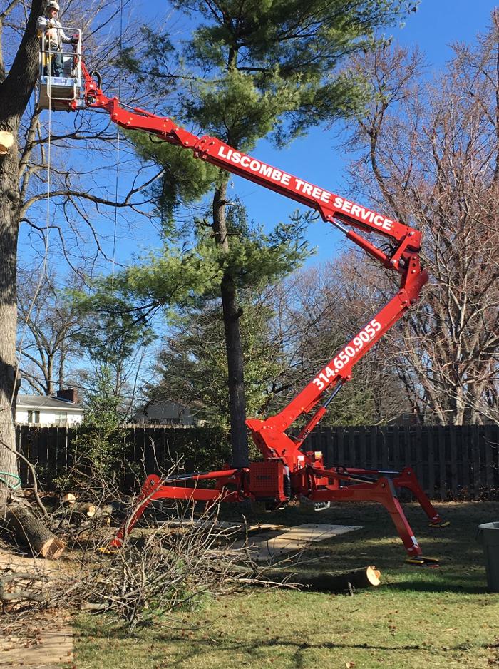 Liscombe Tree Service - Saint Charles, MO
