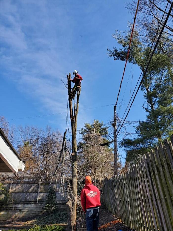 Liscombe Tree Service - Saint Charles, MO