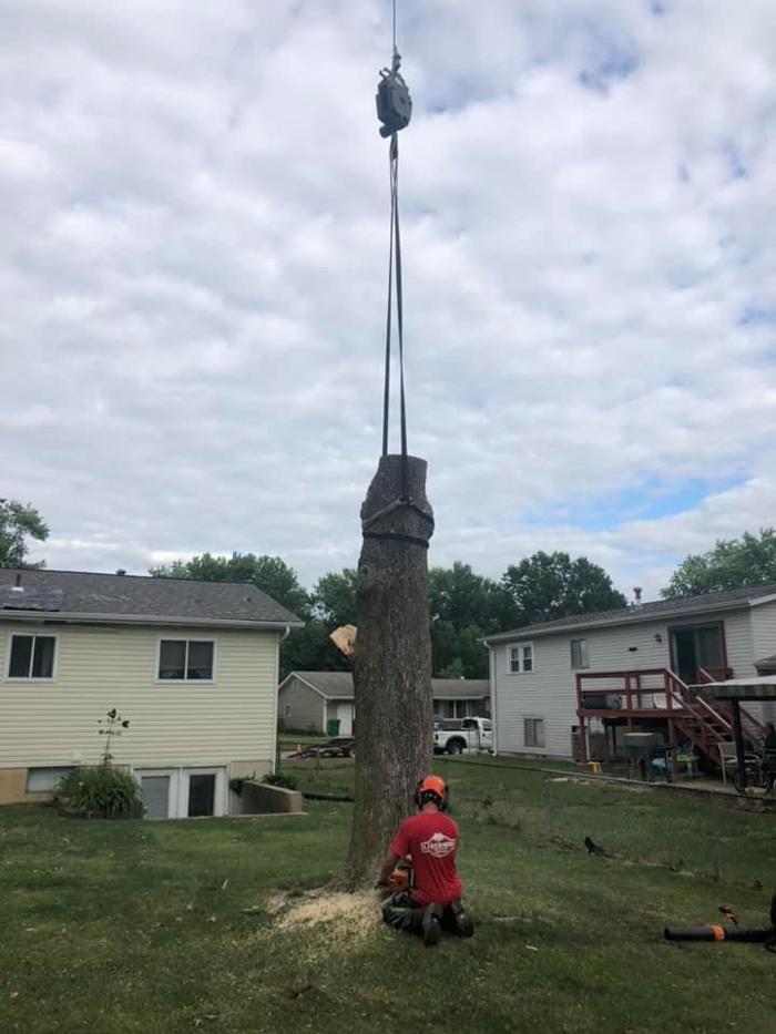 Liscombe Tree Service - Saint Charles, MO