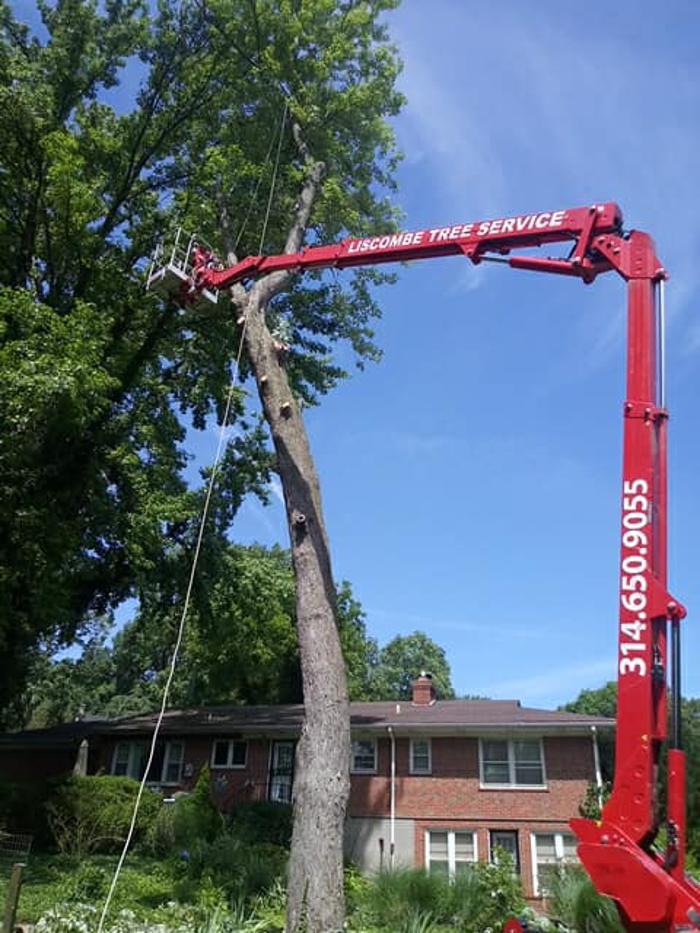 Liscombe Tree Service - Saint Charles, MO