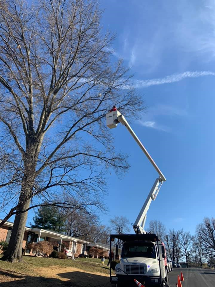 Liscombe Tree Service - Saint Charles, MO