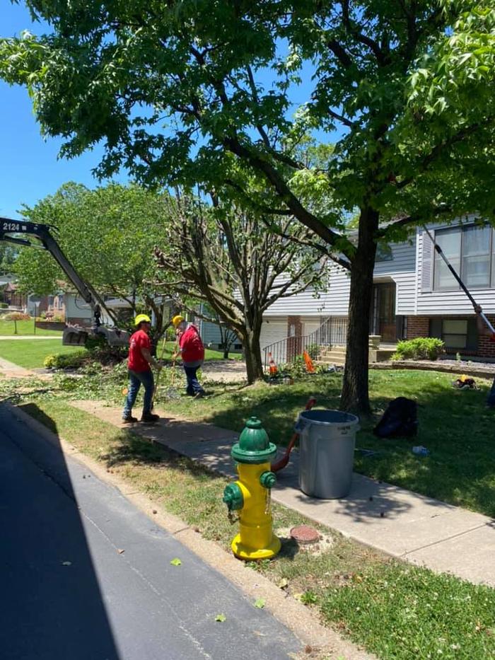 Liscombe Tree Service - Saint Charles, MO