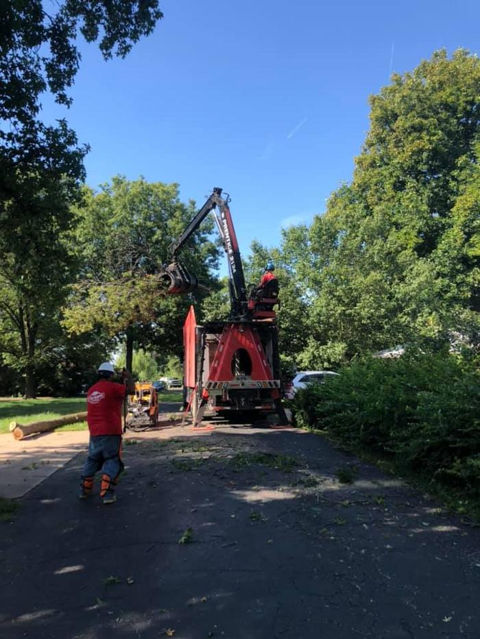 Liscombe Tree Service - Saint Charles, MO