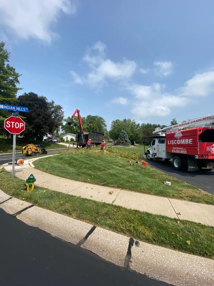 Liscombe Tree Service - Saint Charles, MO
