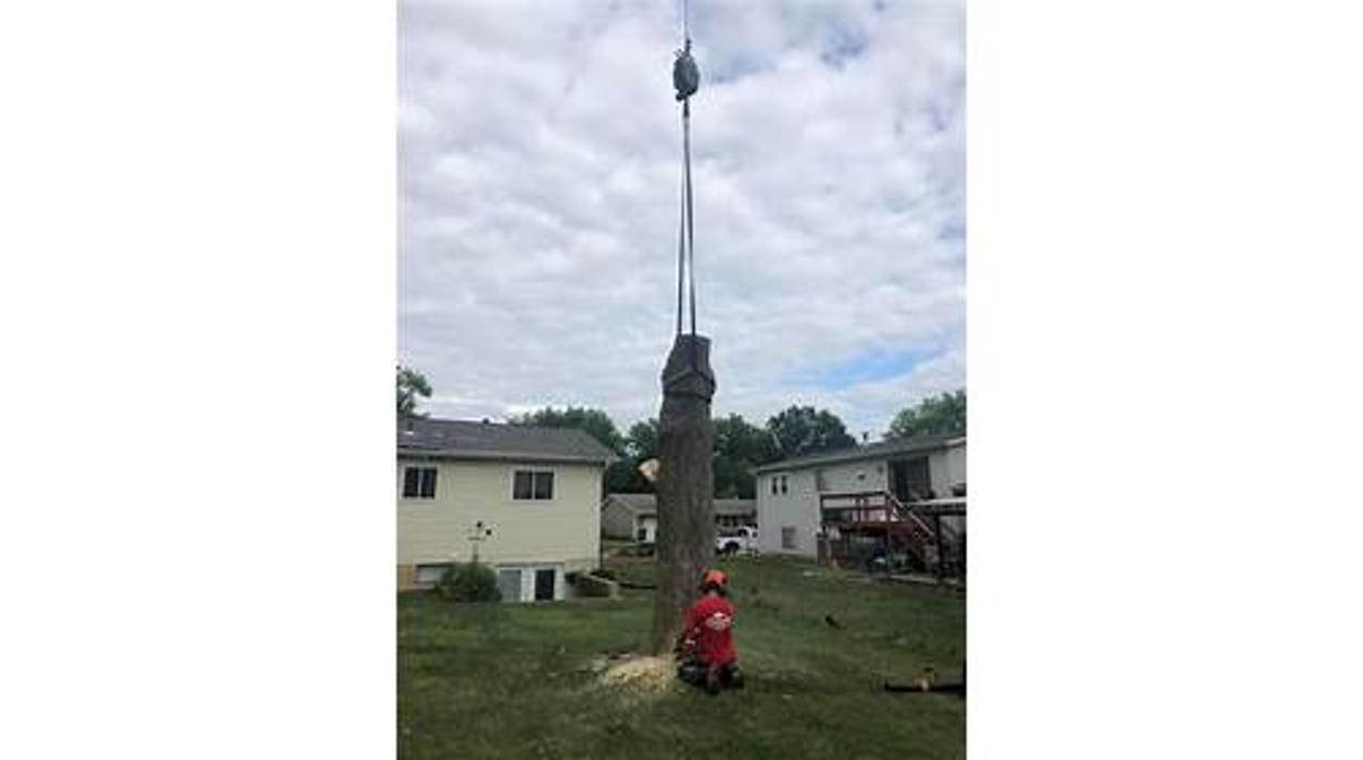 Liscombe Tree Service - Saint Charles, MO