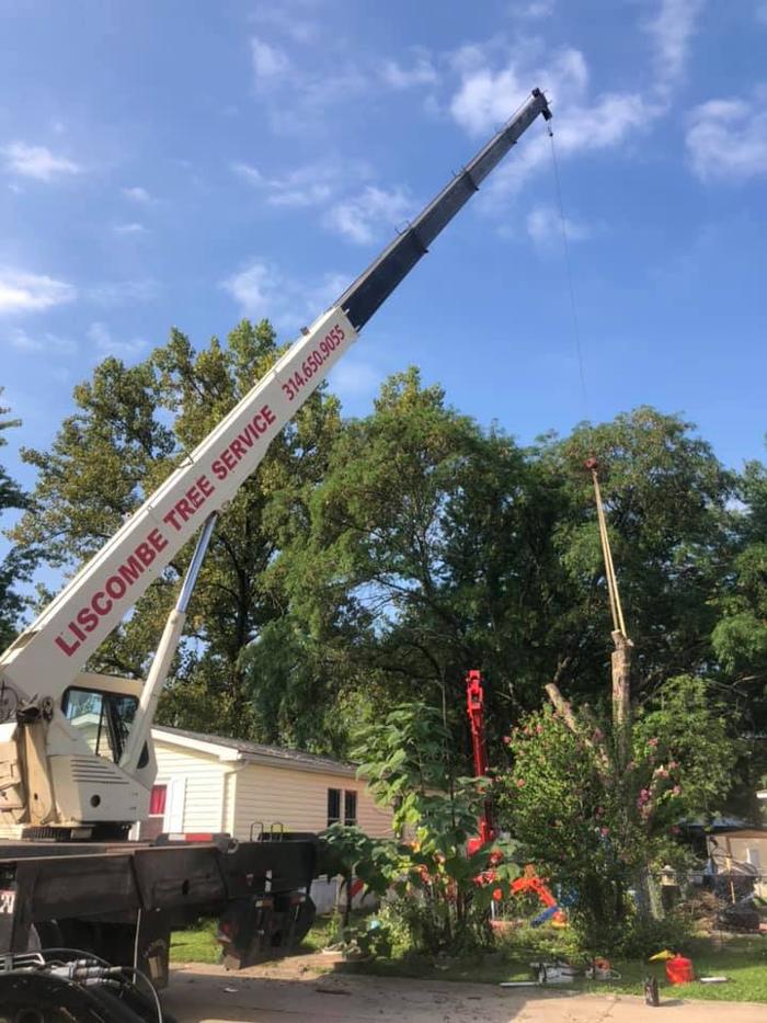 Liscombe Tree Service - Saint Charles, MO