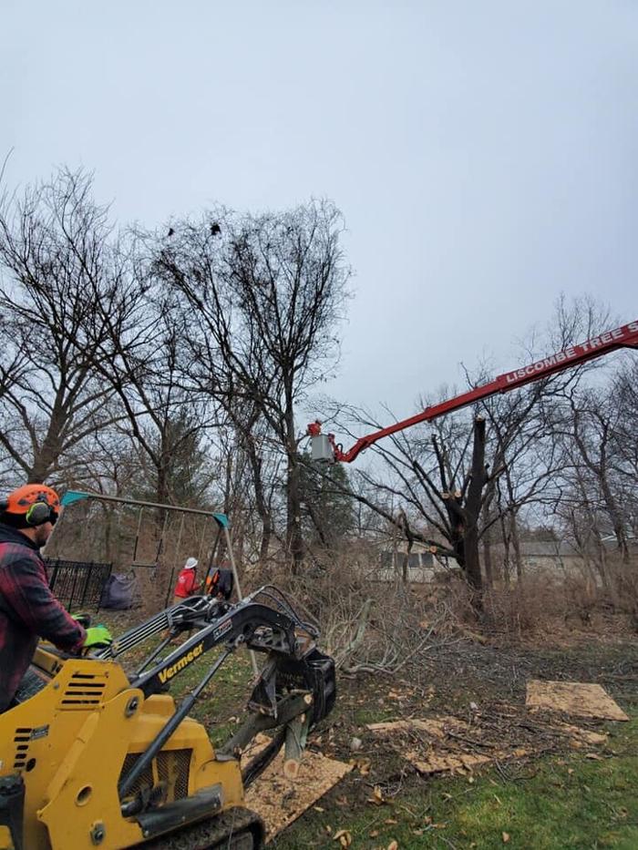 Liscombe Tree Service - Saint Charles, MO