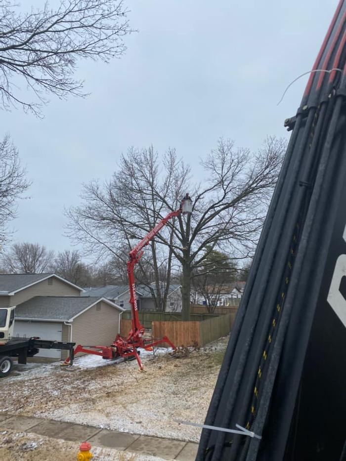 Liscombe Tree Service - Saint Charles, MO