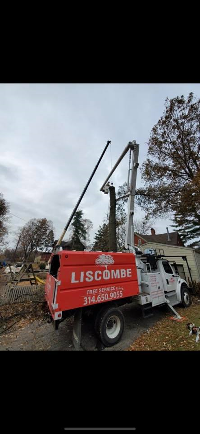 Liscombe Tree Service - Saint Charles, MO
