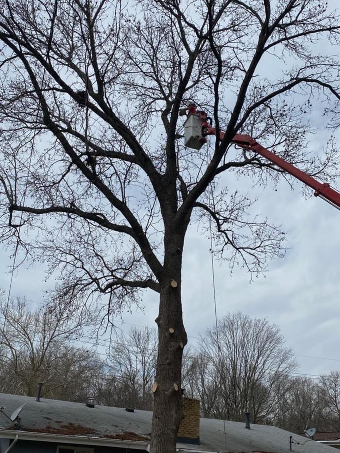 Liscombe Tree Service - Saint Charles, MO