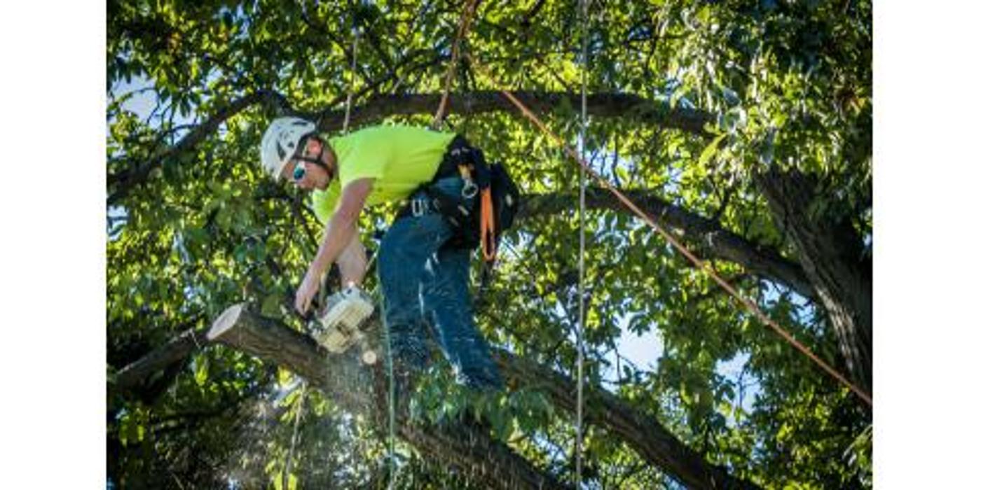 Liscombe Tree Service - Saint Charles, MO