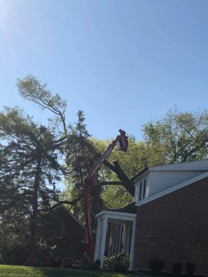 Liscombe Tree Service - Saint Charles, MO