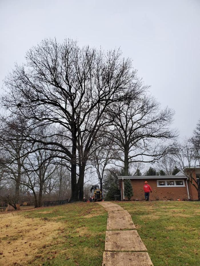 Liscombe Tree Service - Saint Charles, MO