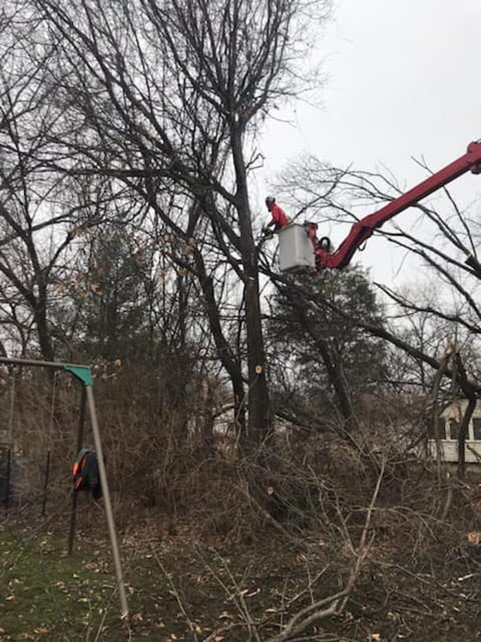 Liscombe Tree Service - Saint Charles, MO