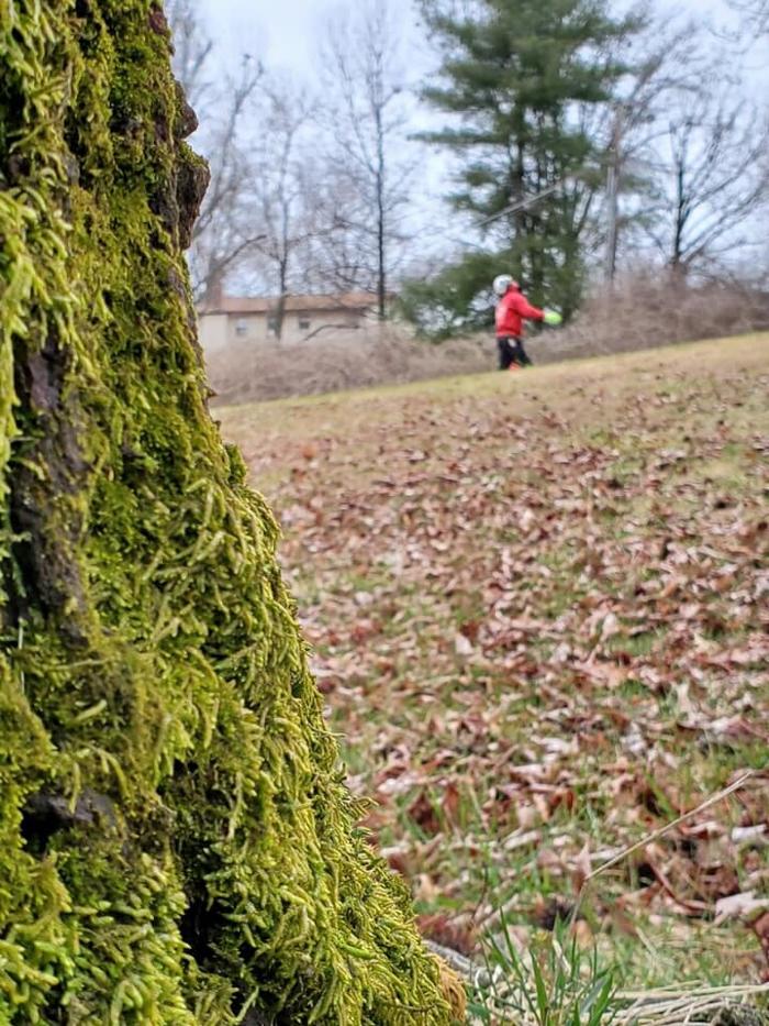 Liscombe Tree Service - Saint Charles, MO