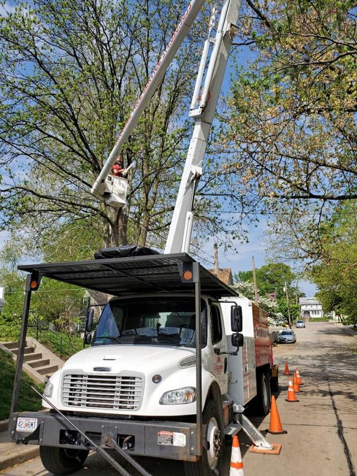 Liscombe Tree Service - Saint Charles, MO