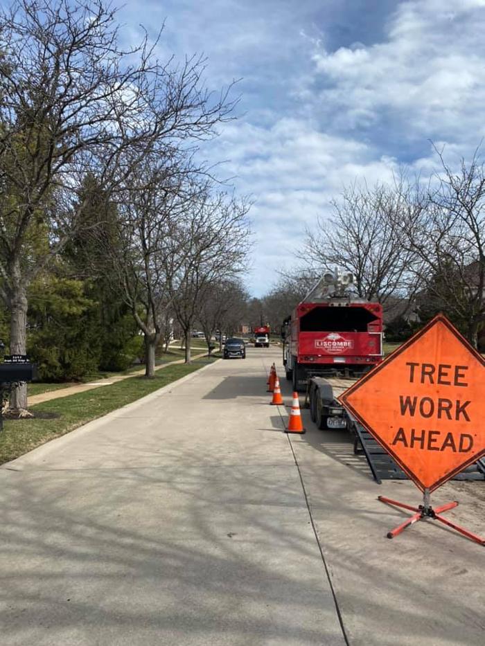 Liscombe Tree Service - Saint Charles, MO