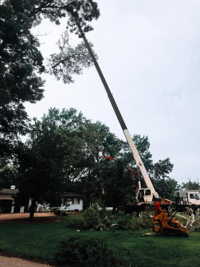 Liscombe Tree Service - Saint Charles, MO
