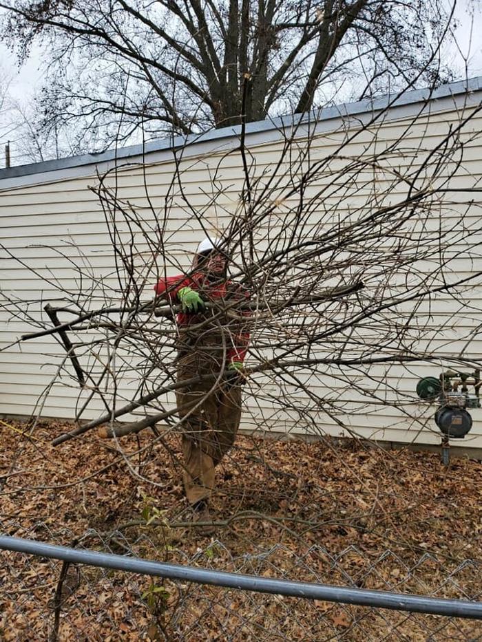 Liscombe Tree Service - Saint Charles, MO
