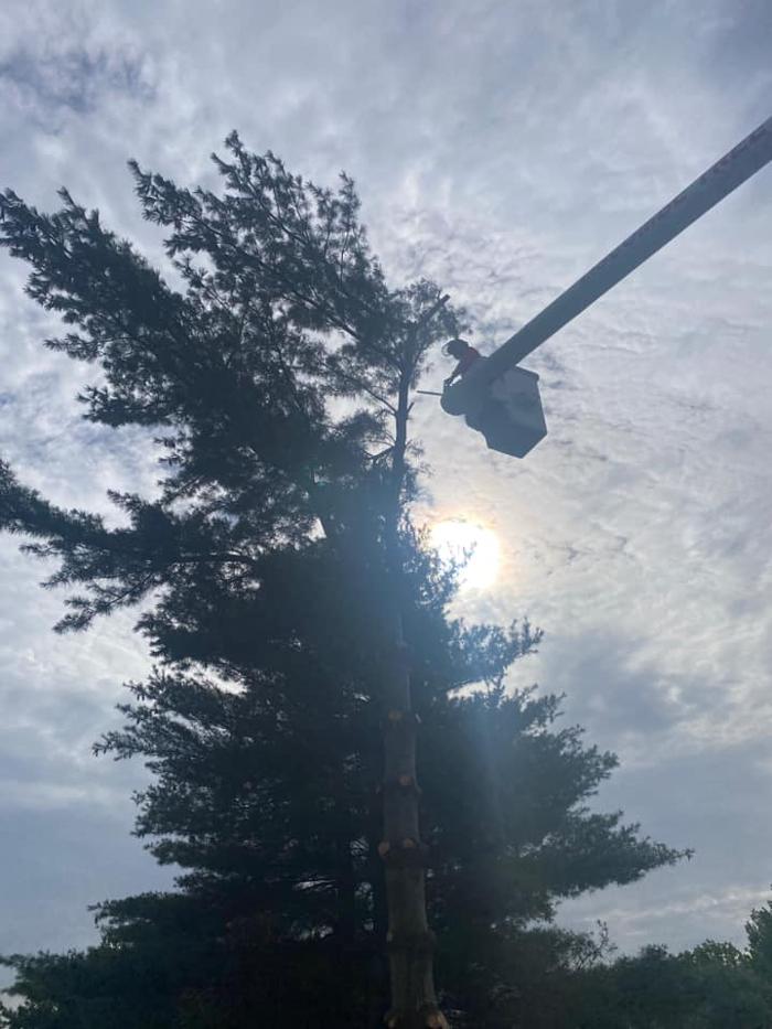 Liscombe Tree Service - Saint Charles, MO