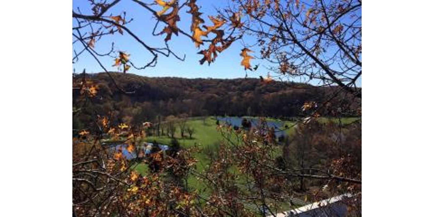 Liscombe Tree Service - Saint Charles, MO