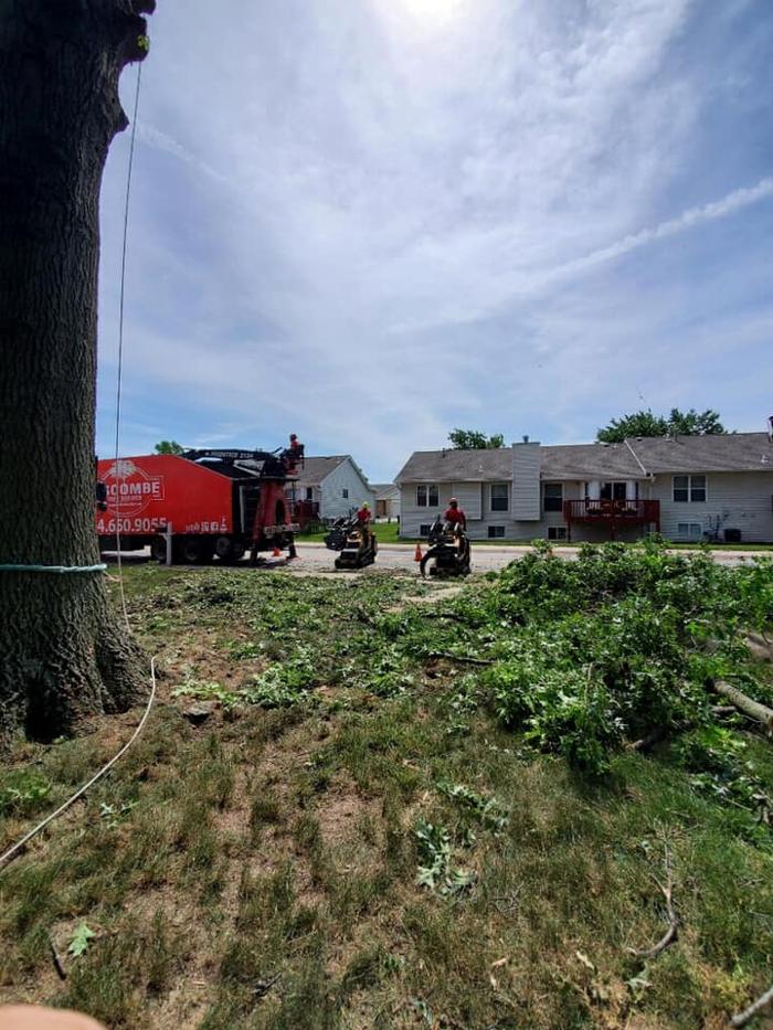 Liscombe Tree Service - Saint Charles, MO