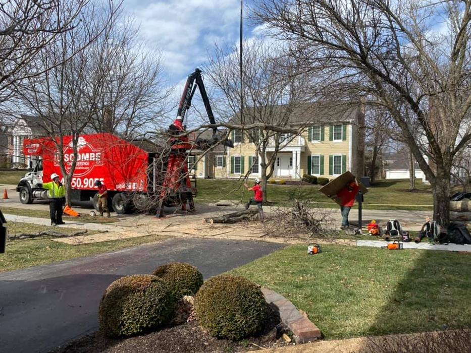 Liscombe Tree Service - Saint Charles, MO