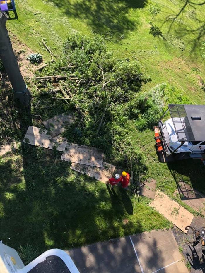 Liscombe Tree Service - Saint Charles, MO