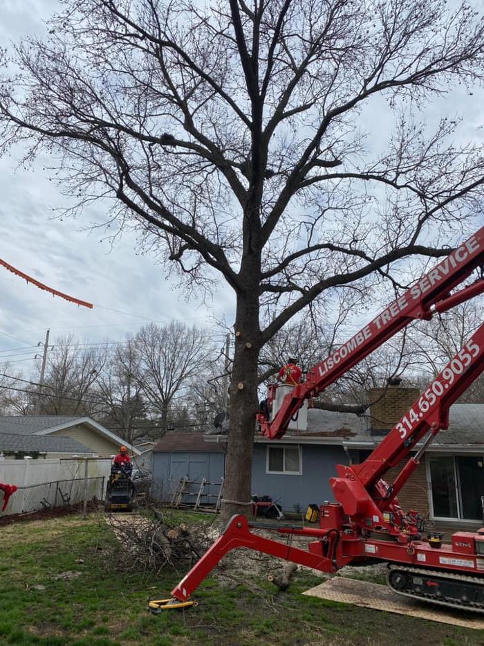 Liscombe Tree Service - Saint Charles, MO