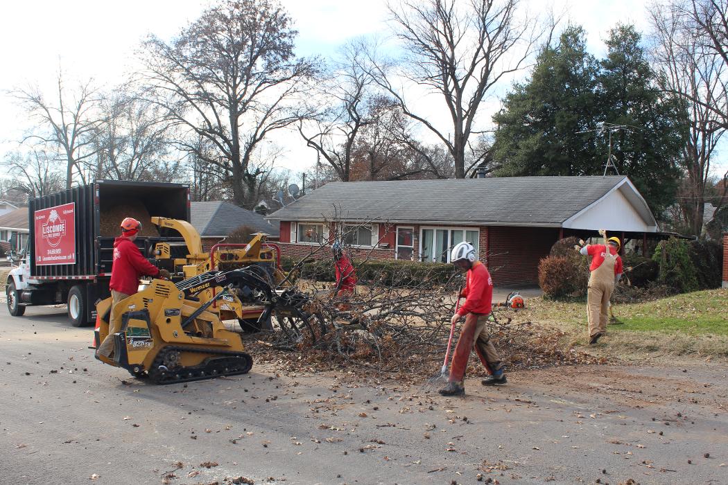 Liscombe Tree Service - Saint Charles, MO