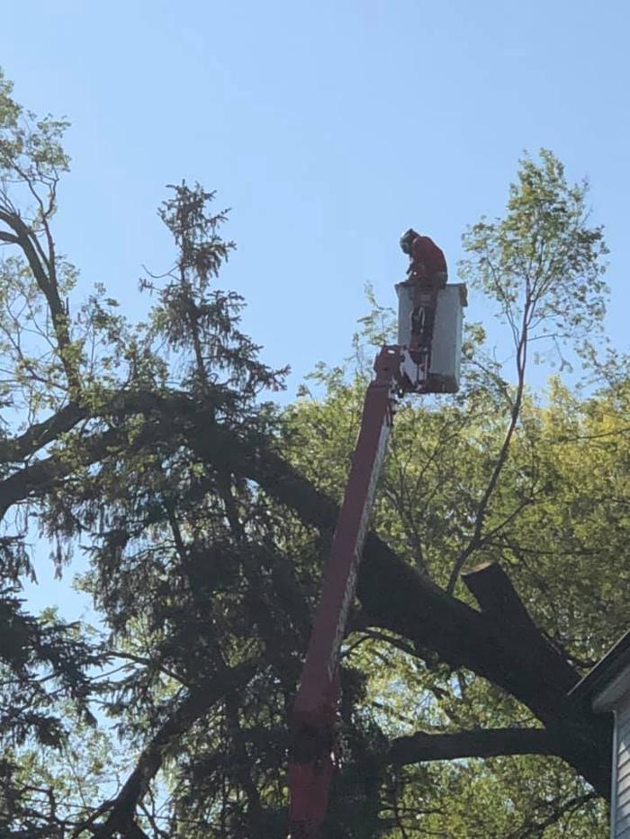 Liscombe Tree Service - Saint Charles, MO
