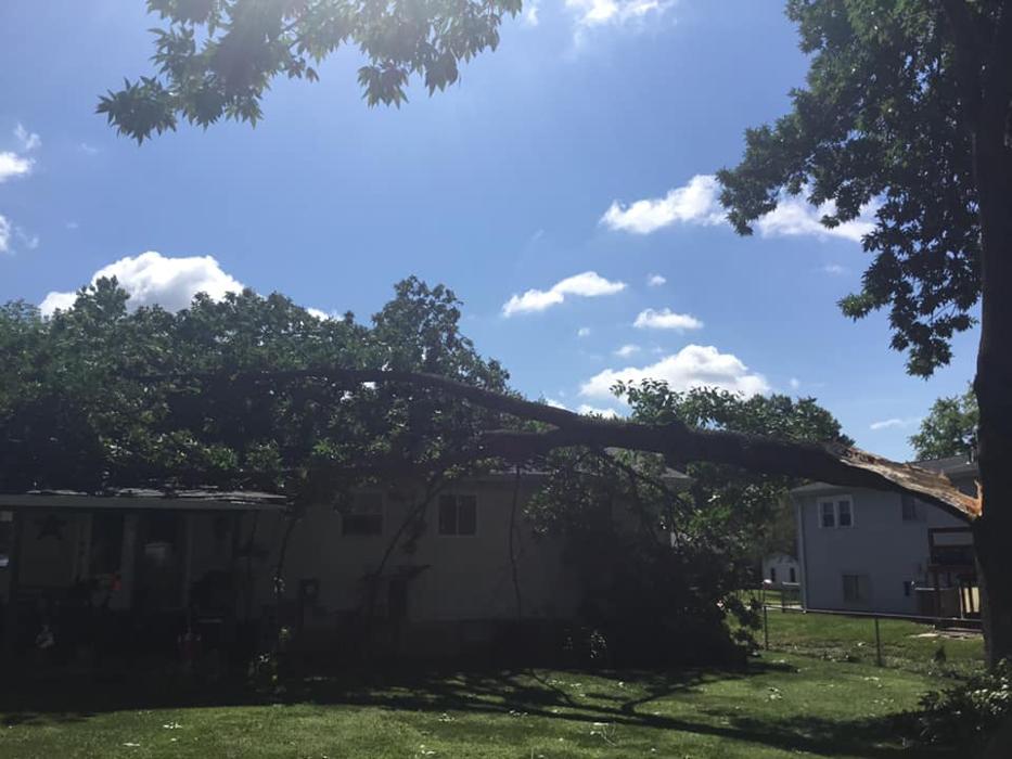 Liscombe Tree Service - Saint Charles, MO