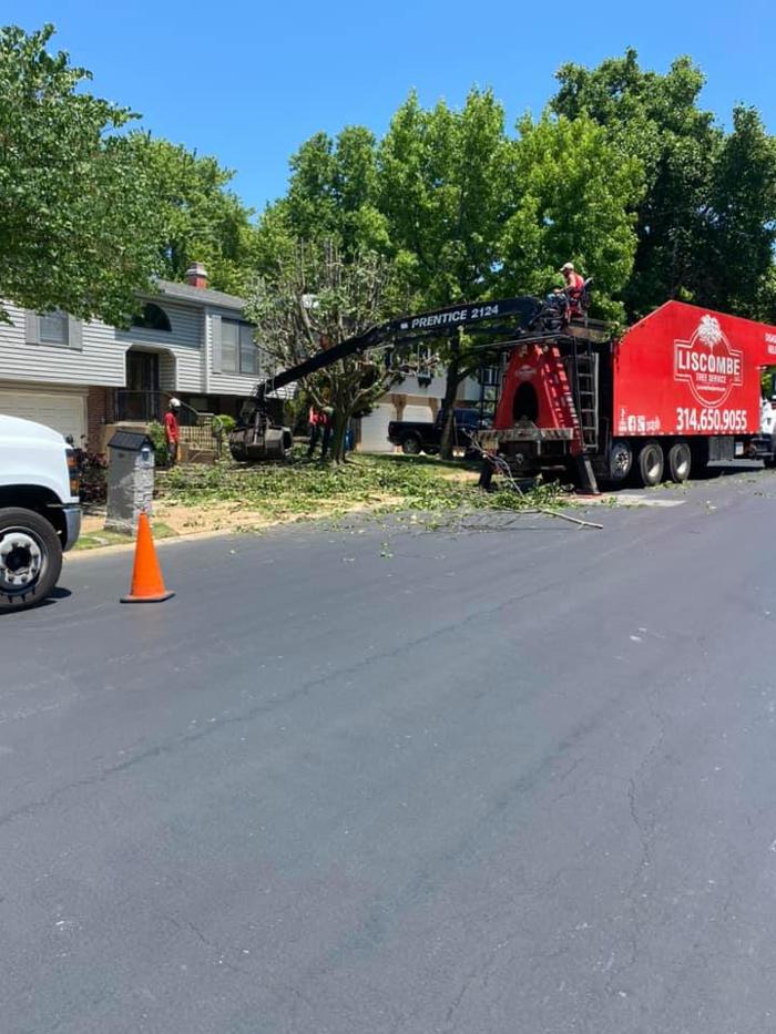 Liscombe Tree Service - Saint Charles, MO