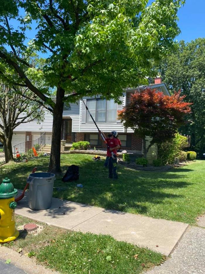 Liscombe Tree Service - Saint Charles, MO