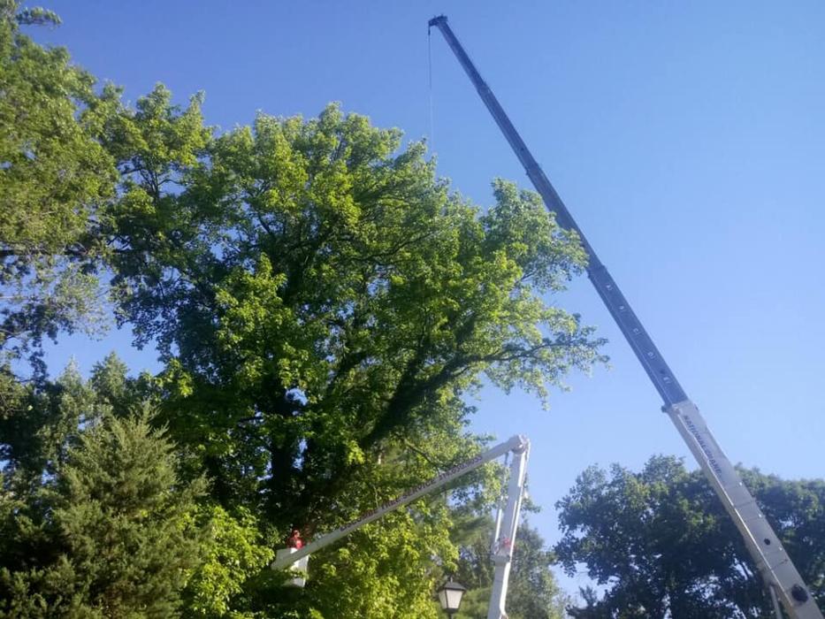 Liscombe Tree Service - Saint Charles, MO
