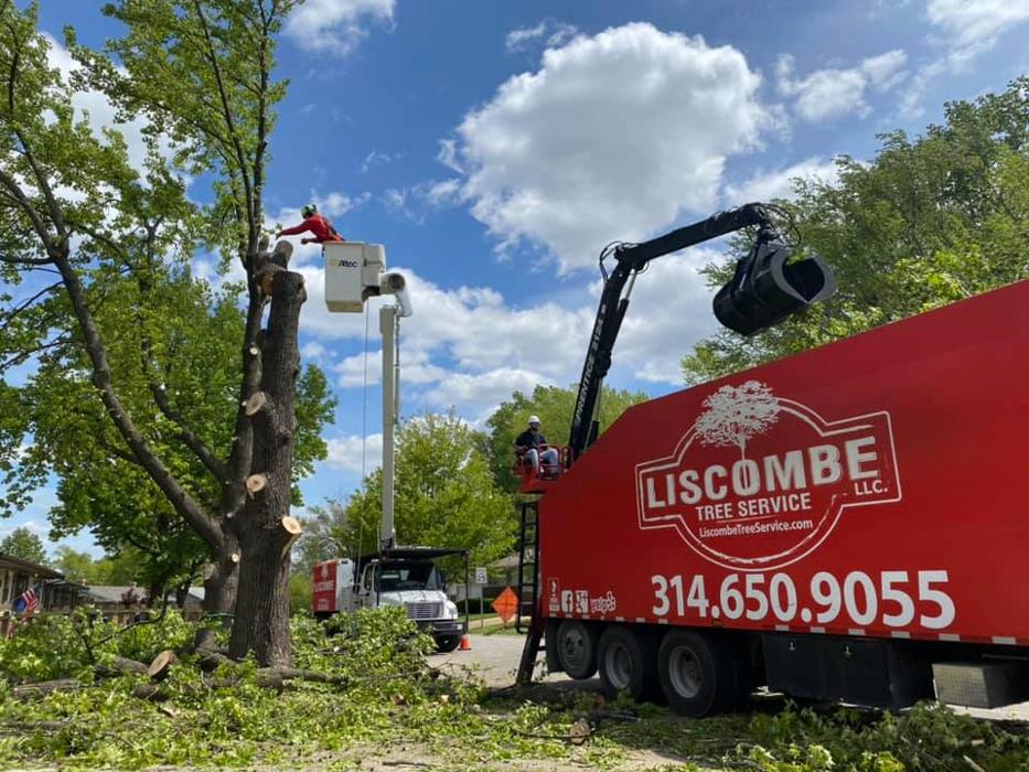 Liscombe Tree Service - Saint Charles, MO