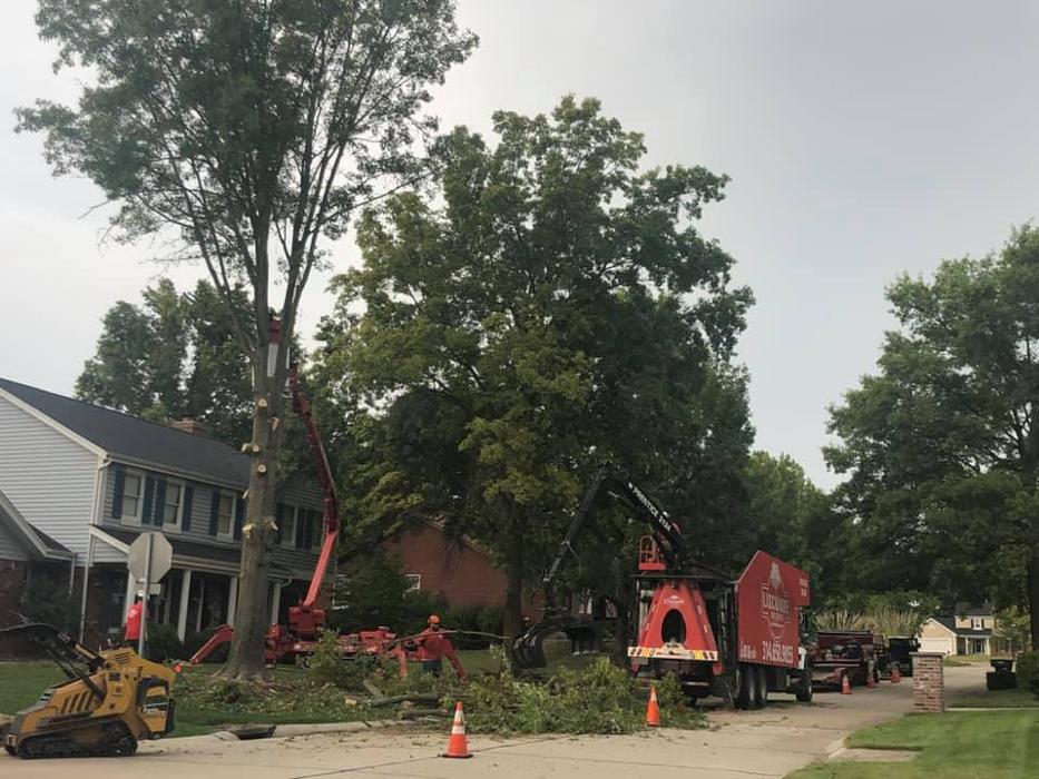 Liscombe Tree Service - Saint Charles, MO