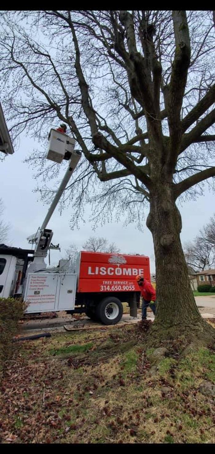 Liscombe Tree Service - Saint Charles, MO
