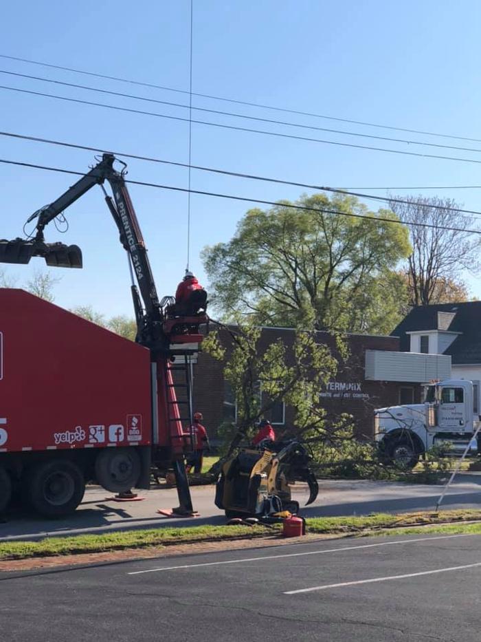 Liscombe Tree Service - Saint Charles, MO