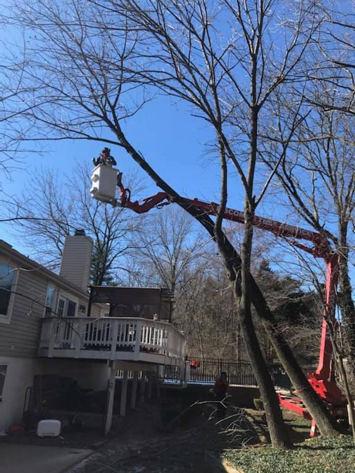 Liscombe Tree Service - Saint Charles, MO