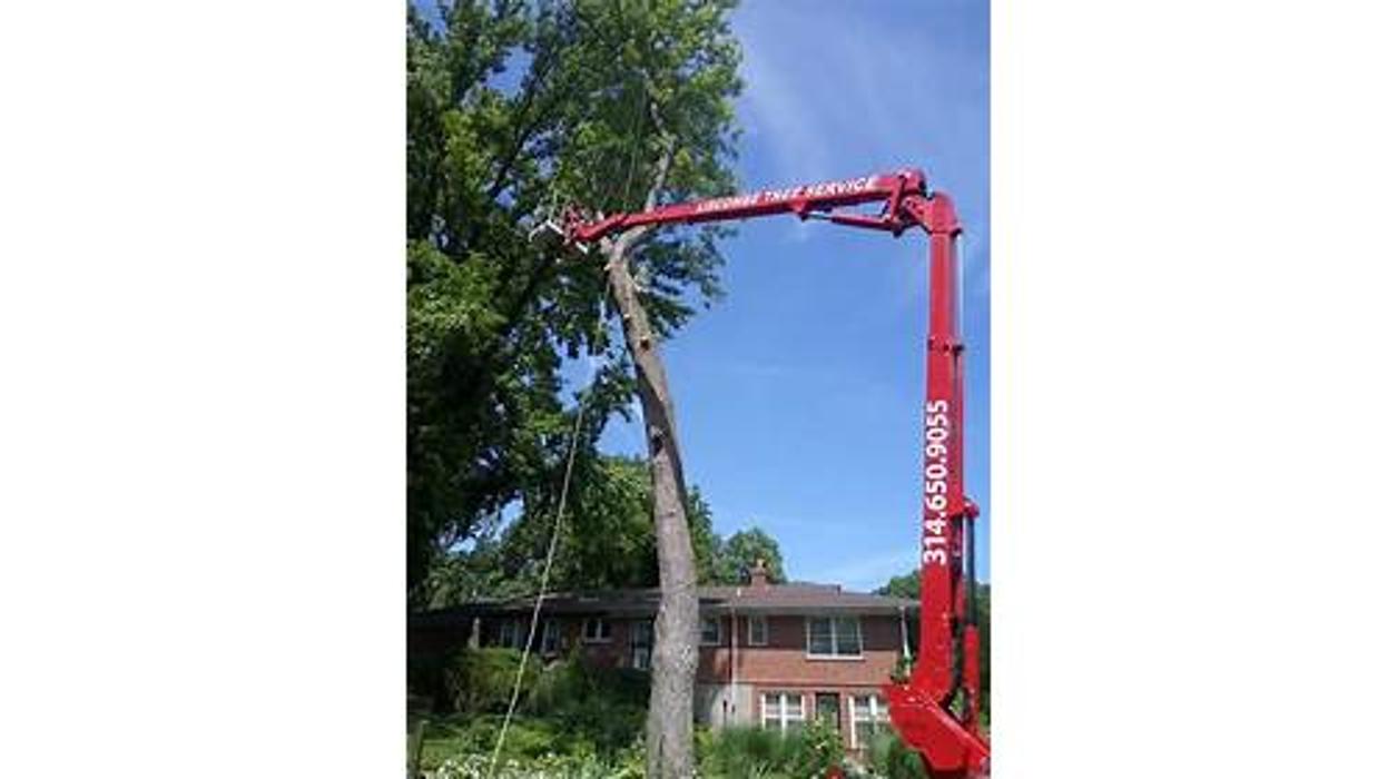 Liscombe Tree Service - Saint Charles, MO