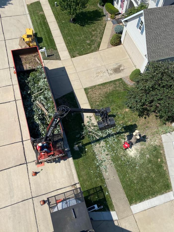 Liscombe Tree Service - Saint Charles, MO