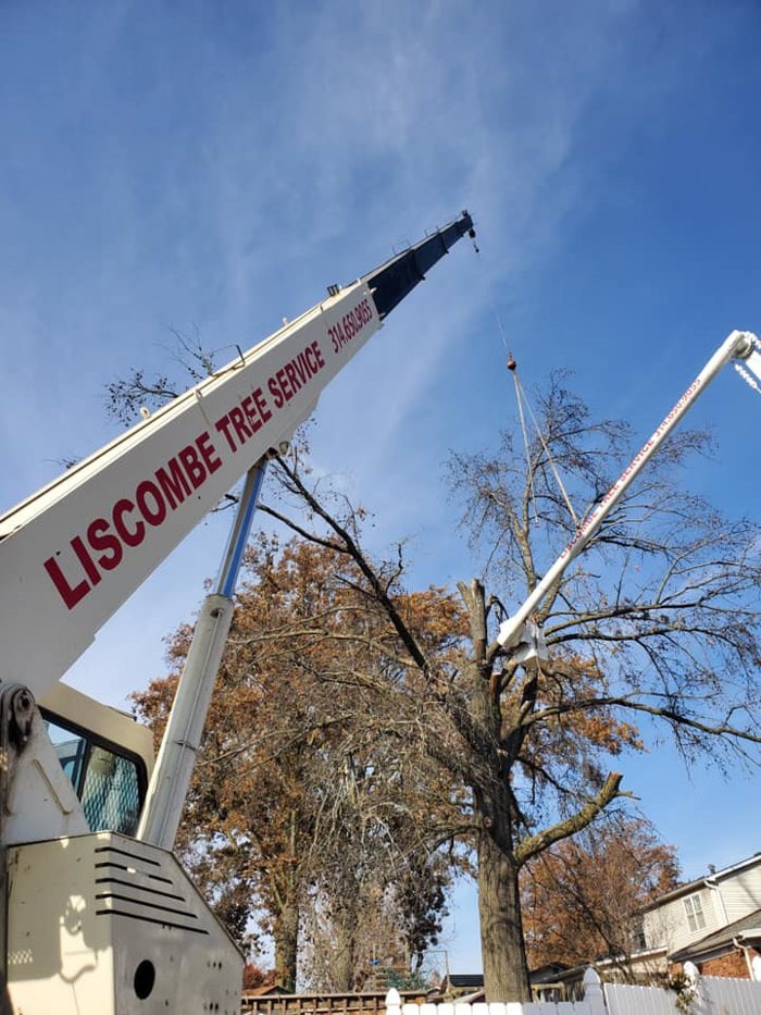 Liscombe Tree Service - Saint Charles, MO