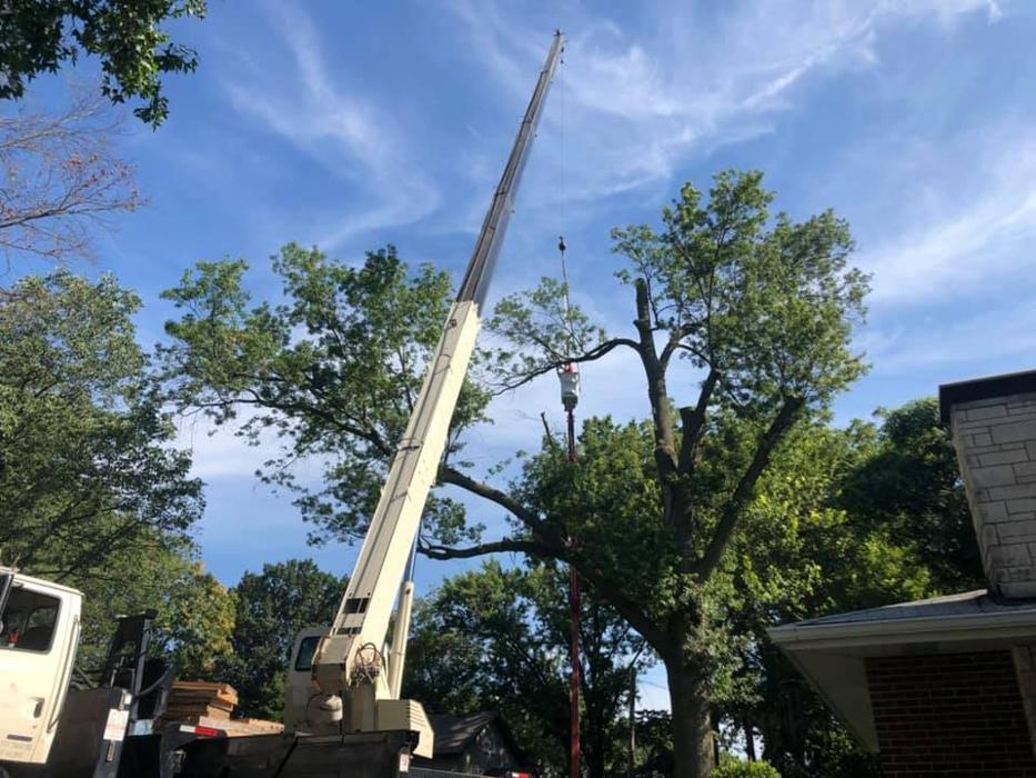 Liscombe Tree Service - Saint Charles, MO