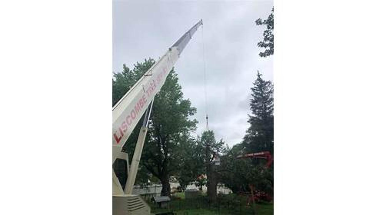 Liscombe Tree Service - Saint Charles, MO
