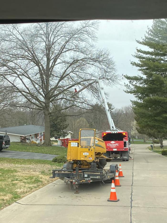 Liscombe Tree Service - Saint Charles, MO