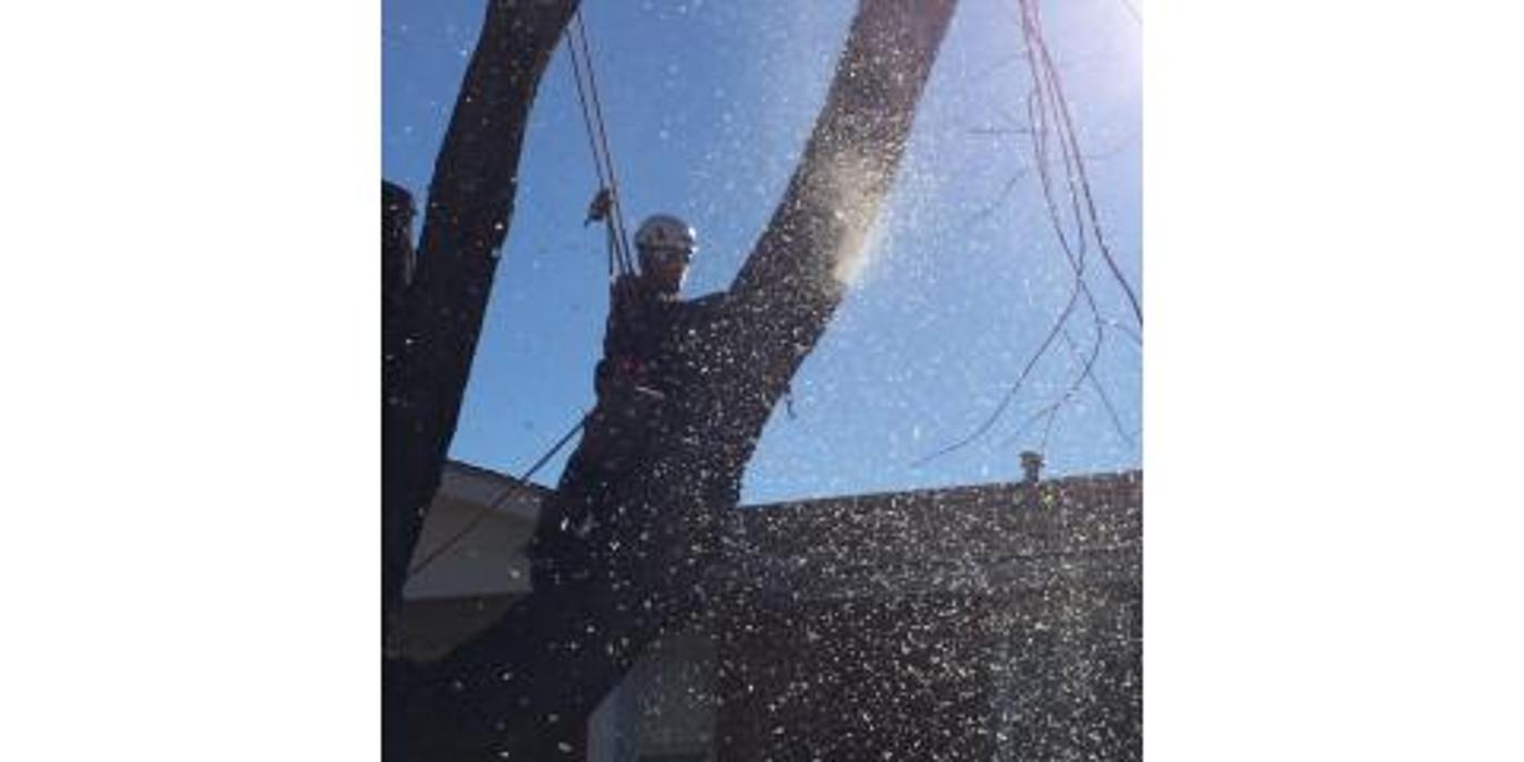 Liscombe Tree Service - Saint Charles, MO