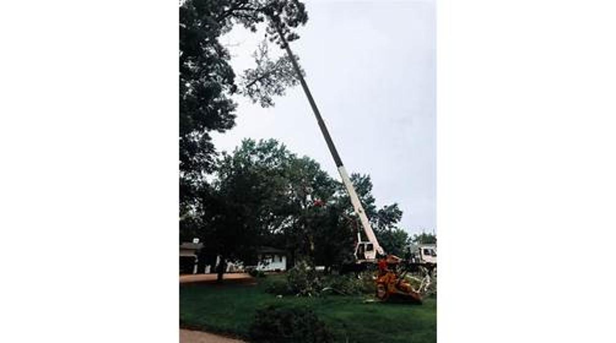 Liscombe Tree Service - Saint Charles, MO