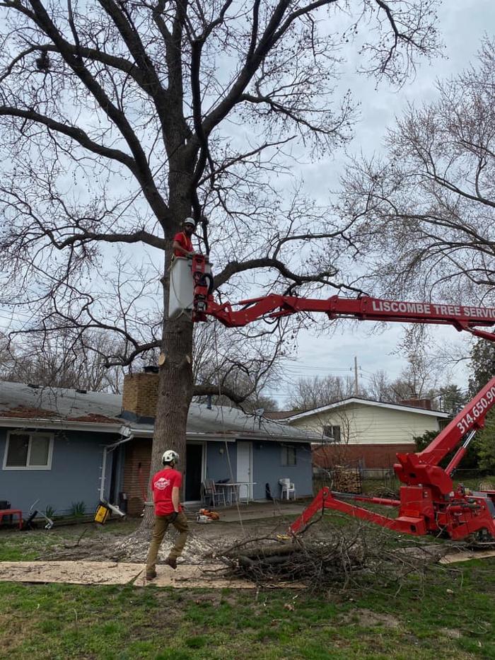 Liscombe Tree Service - Saint Charles, MO
